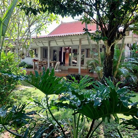 Quiet 3 Br-3 Bathroom Villa In Heart Of Canggu Экстерьер фото